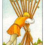 10 המטות - שנתי